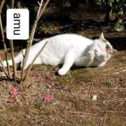 ヒメ日記 2025/09/29 06:00 投稿 あむ 熟女の風俗最終章 蒲田店