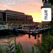 ヒメ日記 2025/10/01 23:00 投稿 あむ 熟女の風俗最終章 蒲田店