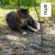 ヒメ日記 2025/10/03 23:50 投稿 あむ 熟女の風俗最終章 蒲田店