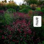 ヒメ日記 2025/10/04 01:20 投稿 あむ 熟女の風俗最終章 蒲田店