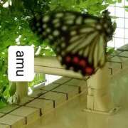 ヒメ日記 2025/10/07 13:30 投稿 あむ 熟女の風俗最終章 蒲田店