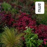 ヒメ日記 2025/10/16 03:40 投稿 あむ 熟女の風俗最終章 蒲田店