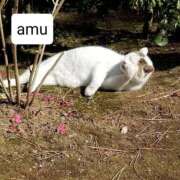 ヒメ日記 2025/10/18 17:50 投稿 あむ 熟女の風俗最終章 蒲田店