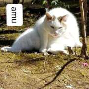 ヒメ日記 2025/10/22 11:00 投稿 あむ 熟女の風俗最終章 蒲田店