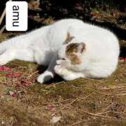 ヒメ日記 2025/10/24 16:50 投稿 あむ 熟女の風俗最終章 蒲田店