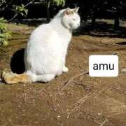 ヒメ日記 2025/10/26 04:50 投稿 あむ 熟女の風俗最終章 蒲田店