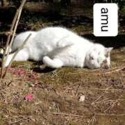 ヒメ日記 2025/10/31 16:50 投稿 あむ 熟女の風俗最終章 蒲田店