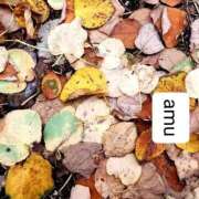 ヒメ日記 2025/11/02 07:05 投稿 あむ 熟女の風俗最終章 蒲田店