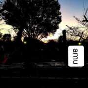 ヒメ日記 2025/11/02 21:00 投稿 あむ 熟女の風俗最終章 蒲田店