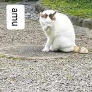 ヒメ日記 2025/11/04 13:10 投稿 あむ 熟女の風俗最終章 蒲田店