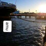 ヒメ日記 2025/11/05 05:30 投稿 あむ 熟女の風俗最終章 蒲田店