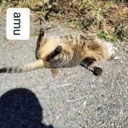 ヒメ日記 2025/11/07 07:30 投稿 あむ 熟女の風俗最終章 蒲田店