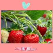 ヒメ日記 2025/03/21 15:32 投稿 みらい 成田人妻最高級倶楽部