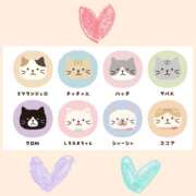 ヒメ日記 2025/04/28 22:08 投稿 みらい 成田人妻最高級倶楽部