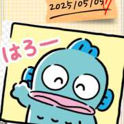 ヒメ日記 2025/05/07 18:10 投稿 みらい 成田人妻最高級倶楽部