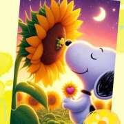 ヒメ日記 2025/07/14 18:26 投稿 みらい 成田人妻最高級倶楽部