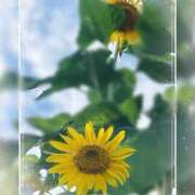 ヒメ日記 2025/08/13 21:24 投稿 じゅん 成田人妻最高級倶楽部