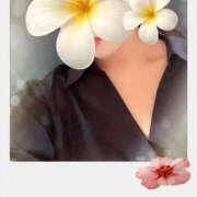 ヒメ日記 2025/09/12 11:19 投稿 じゅん 成田人妻最高級倶楽部