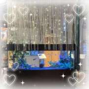 ヒメ日記 2025/10/01 22:32 投稿 じゅん 成田人妻最高級倶楽部