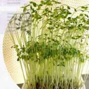 ヒメ日記 2025/11/01 23:43 投稿 じゅん 成田人妻最高級倶楽部