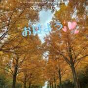 ヒメ日記 2025/11/17 11:04 投稿 じゅん 成田人妻最高級倶楽部