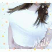 ヒメ日記 2025/04/02 12:30 投稿 みるく 立川ちゃんこ