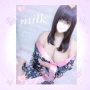 ヒメ日記 2025/06/20 12:00 投稿 みるく 立川ちゃんこ