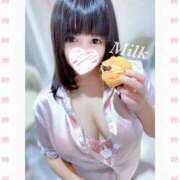 ヒメ日記 2025/11/15 11:01 投稿 みるく 立川ちゃんこ