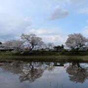 ヒメ日記 2025/04/07 15:27 投稿 みなみ 人妻ポルノ 横浜関内店