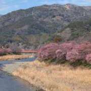 ヒメ日記 2026/02/15 20:17 投稿 みなみ 人妻ポルノ 横浜関内店