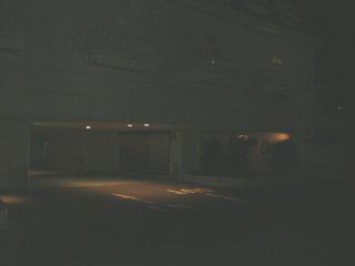 コスモポリス(川越市/ラブホテル)の写真『夜の入り口』by もんが～