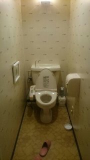 閉店？したホテル(ID:40945)(姫路市/ラブホテル)の写真『205号室トイレ』by お姉さん大好き