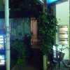 スタークレセント(立川市/ラブホテル)の写真『夜の入口（裏側）』by スラリン