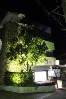 パーク(昭島市/ラブホテル)の写真『夜の外観１』by スラリン