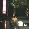 Hotel Bali&Thai 狭山店(狭山市/ラブホテル)の写真『夜の入り口付近』by もんが～