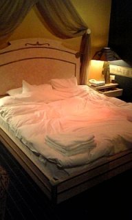 ファラオ(札幌市中央区/ラブホテル)の写真『７０６号室ベッド』by 北の大地