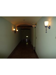 グランドカリビアンリゾートホテル(所沢市/ラブホテル)の写真『３階廊下』by スラリン