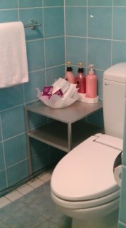 ニューヨークデコ(国分寺市/ラブホテル)の写真『トイレ（バスルームの中）』by おむすび