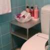 ニューヨークデコ(国分寺市/ラブホテル)の写真『トイレ（バスルームの中）』by おむすび