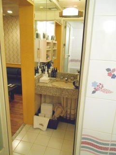 ホテル リヴィエラ相模原(相模原市/ラブホテル)の写真『310号室、洗面所』by もんが～
