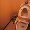 プチテル（レンタルルーム）(品川区/ラブホテル)の写真『トイレは部屋に無いです。１フロアーに男女兼用がひとつです。』by エロっけんJr