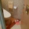 サンモリッツエコ(台東区/ラブホテル)の写真『223号室、トイレ』by 無類の巨乳好き