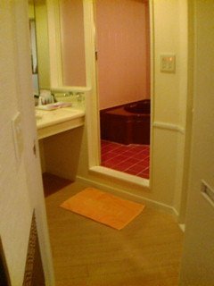 ホテルViVi(相模原市/ラブホテル)の写真『305号室脱衣スペース』by ごえもん（運営スタッフ）