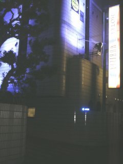 ホテル MOBILIA(モビリア)(鶴ヶ島市/ラブホテル)の写真『夜の入り口』by もんが～
