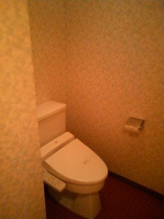 ホテルシティ(立川市/ラブホテル)の写真『201号室トイレ』by イリオモテヤマネコ