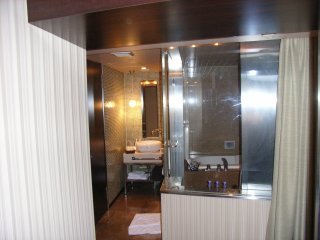 アラウダリゾート国立(国立市/ラブホテル)の写真『209号室 洗面と浴室（通路からカーテンを開けたところ）』by ホテルレポったー