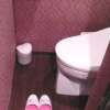ホテル アップル(八王子市/ラブホテル)の写真『301号室、トイレ』by もんが～