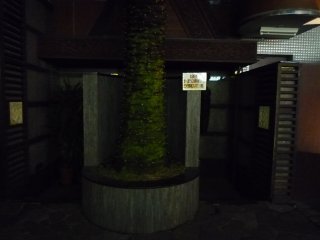 Asian P-Door(アジアンピードア)(台東区/ラブホテル)の写真『夜の入口』by スラリン