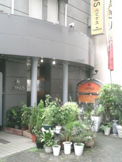 HOTEL LUPINUS（ルピナス）(大和市/ラブホテル)の写真『昼の入り口』by もんが～