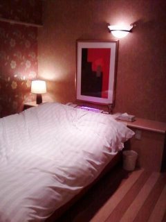 閉店？したホテル(ID:36224)(豊島区/ラブホテル)の写真『205号室 ベッド』by うんざり八兵衛